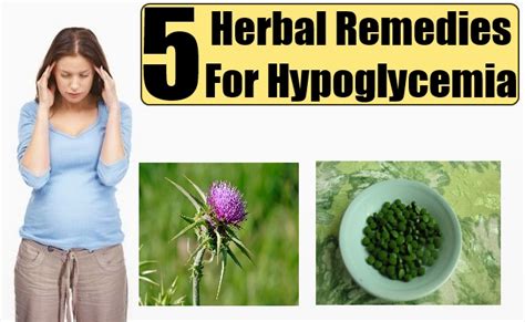 Herbal Remedies for Hypoglycemia