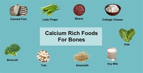 High Calcium Food Sources for Specific Dietary Needs