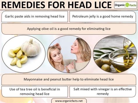 Home Remedies for Head Lice
