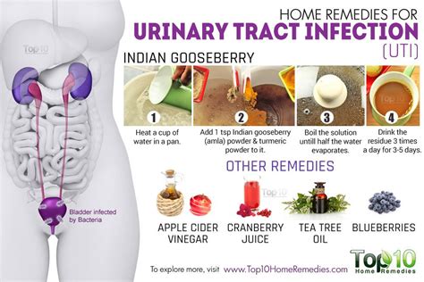Home Remedies for UTIs