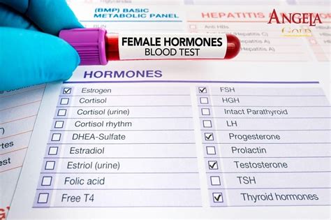 Hormone Blood Work Testing