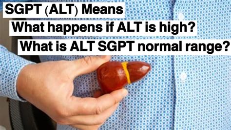 How Alt SGPT Works