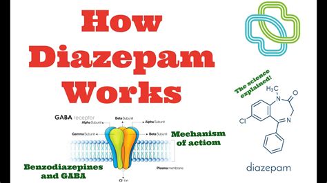 Mechanism of Diazepam