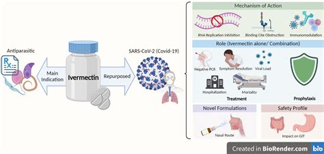How Ivermectin Works