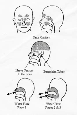 How Neti Pot Works