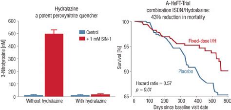 Hydralazine Combination Therapy