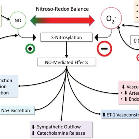 Hydralazine Future Directions