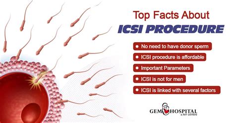 Introduction to ICSI