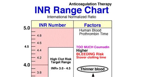INR Blood Test Management