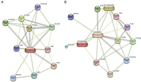 Ibuprofen Interactions