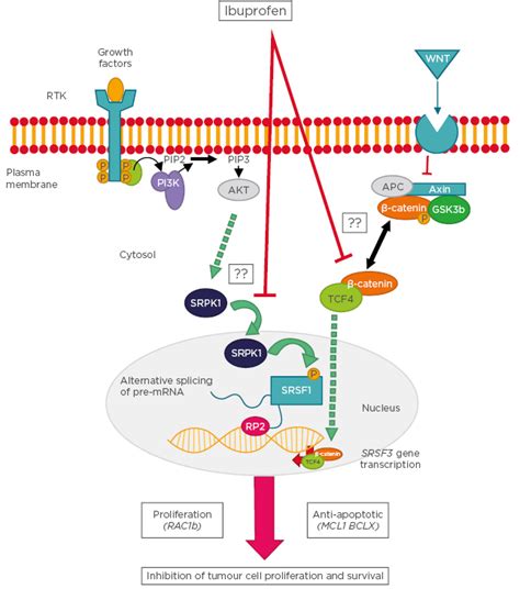 Ibuprofen Mechanism