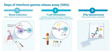 Igra Blood Test Applications