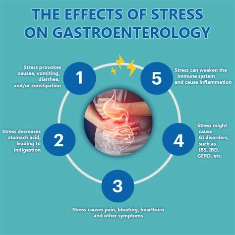 Impact Of Stress On The Gastrointestinal System