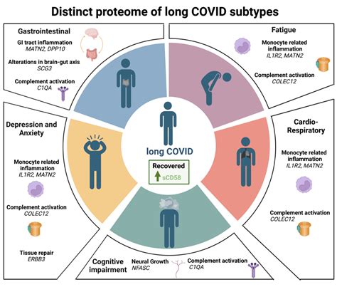 Impact of Covid Fatigue