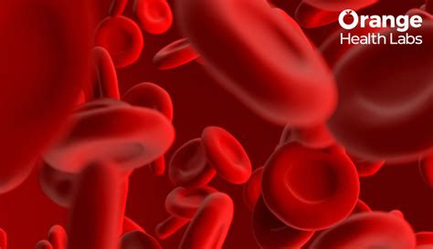 Importance of Red Blood Cell Count