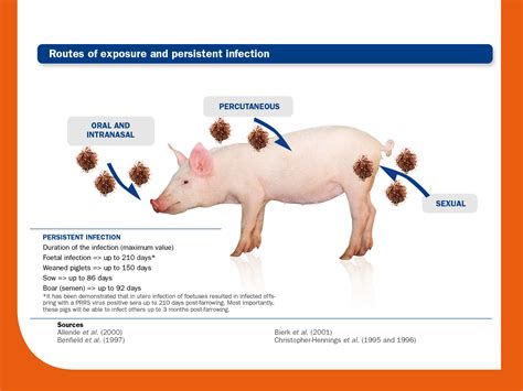Infected Animals
