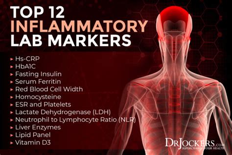 Inflammatory Markers