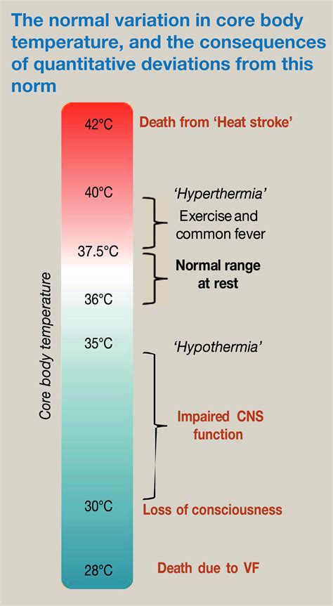 Interpreting Body Temperature Data