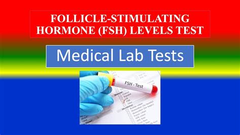 Interpreting FSH Test Results