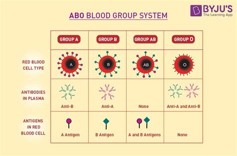 Introduction to ABO Blood Types