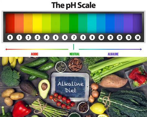 Introduction to Alkaline Diet