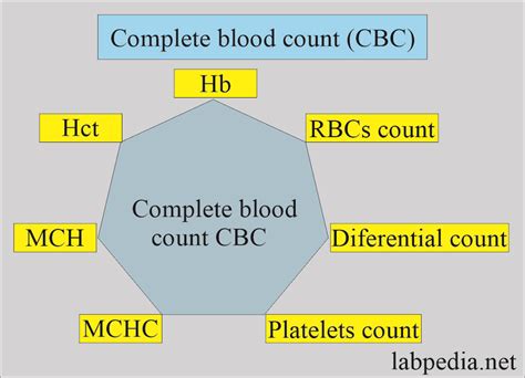 Introduction to CBC Medical Abbreviation