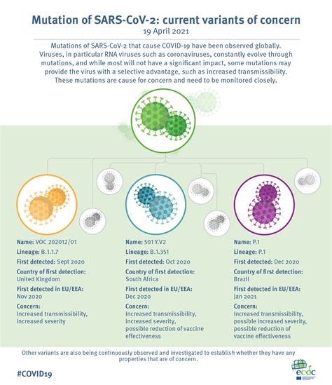 Introduction to COVID-19 Variants