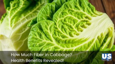 Introduction to Cabbage Fiber