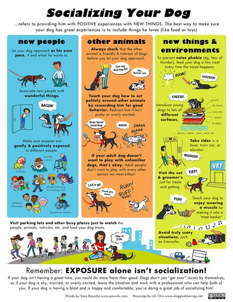 Introduction to Canine Behavior