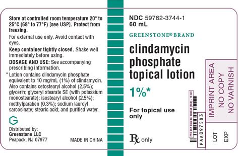 Introduction to Clindamycin