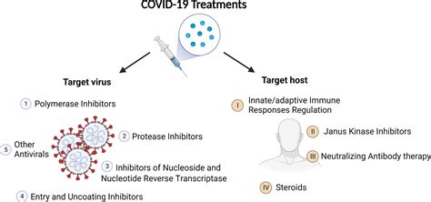 Introduction to Covid 19 Treatment Medicine