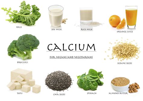 Introduction to High Calcium Foods