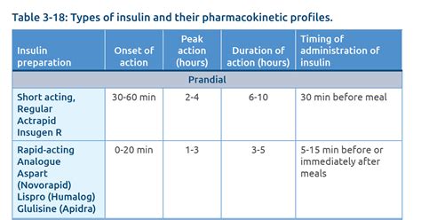 Introduction to Insulin Types