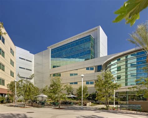 Introduction to Kaiser Permanente Lamc Healthcare Services