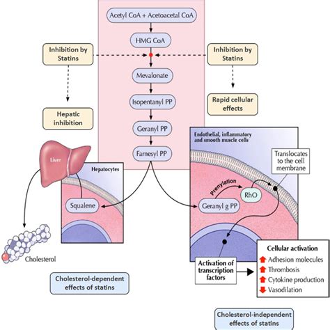Introduction to Lipitor