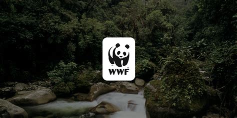 Introduction to WWF
