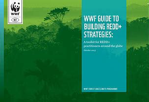 Introduction to the Wwwef Guide