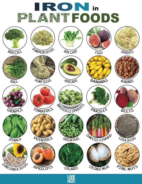 Iron Fortified Foods and Health Conditions