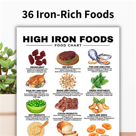 Iron Rich Foods List
