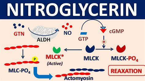 Less Common Side Effects of Nitroglycerin