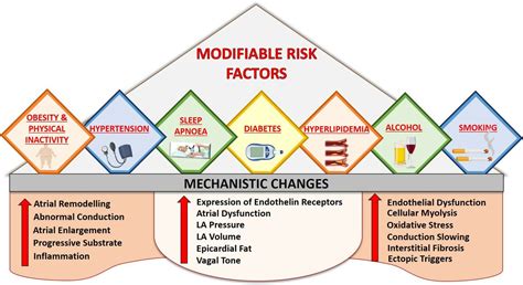 Lifestyle Changes for Afib