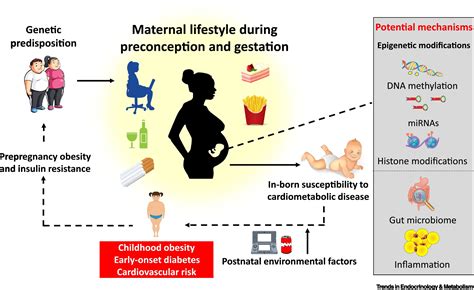 Lifestyle Modifications for Metabolic Health
