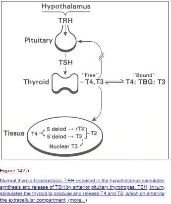 Limitations and Potential Drawbacks of T3 Free Lab Test