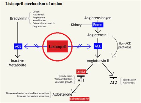 Lisinopril Working Mechanism
