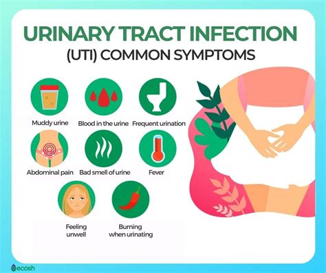 Living with UTIs