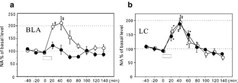 Long-Term Effects of Citalopram