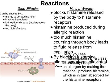 Loratadine Mechanism of Action