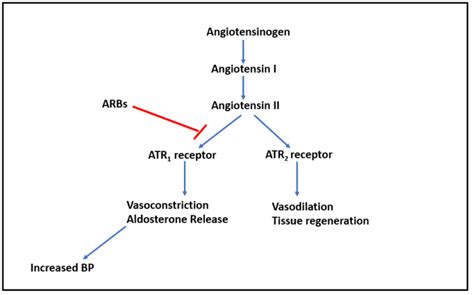 Losartan 50mg Working Mechanism
