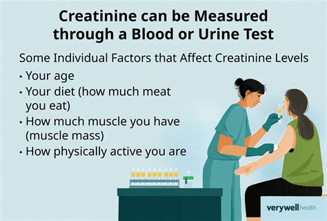 Causes of Low Creatinine