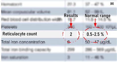 Low Reticulocyte Count